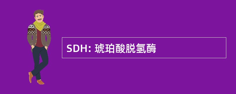 SDH: 琥珀酸脱氢酶