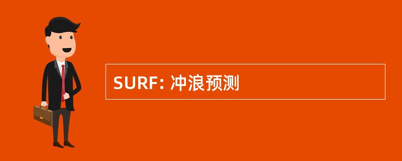 SURF: 冲浪预测