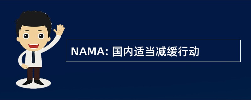 NAMA: 国内适当减缓行动