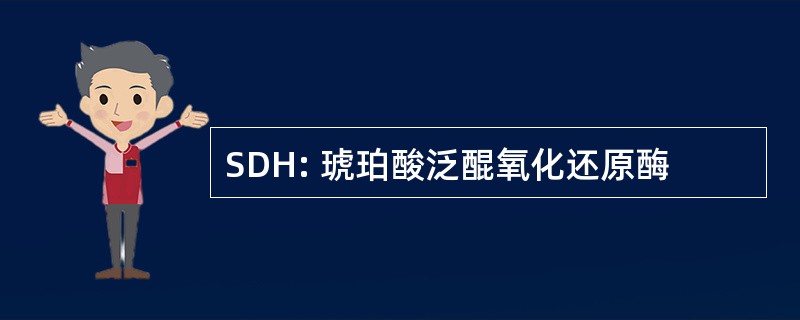 SDH: 琥珀酸泛醌氧化还原酶