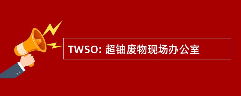 TWSO: 超铀废物现场办公室