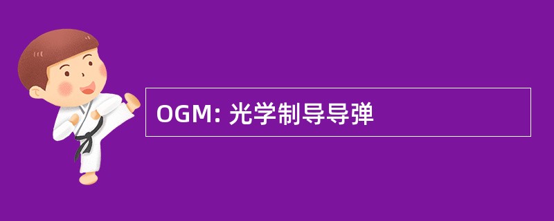 OGM: 光学制导导弹