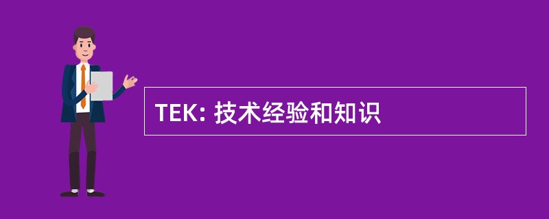 TEK: 技术经验和知识