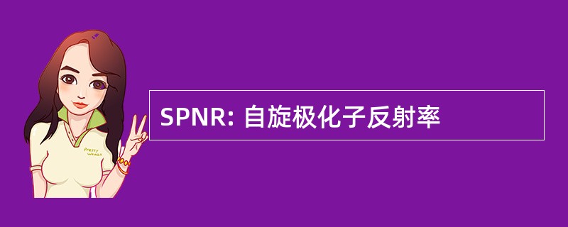 SPNR: 自旋极化子反射率