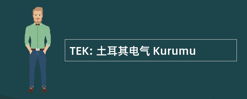 TEK: 土耳其电气 Kurumu