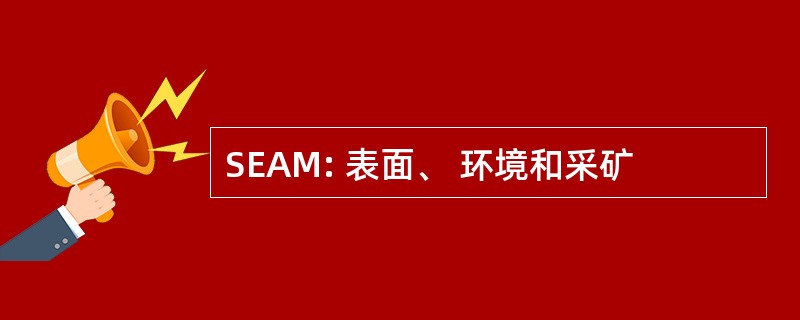 SEAM: 表面、 环境和采矿