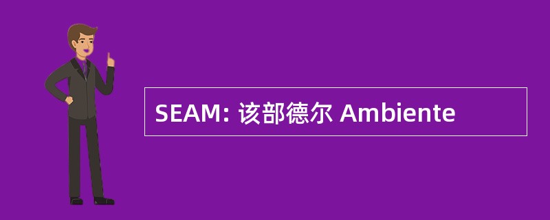 SEAM: 该部德尔 Ambiente