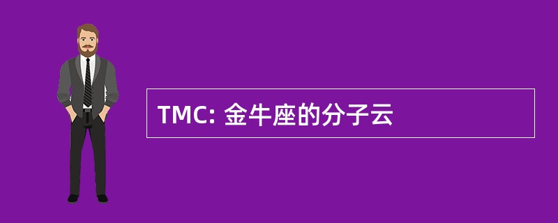 TMC: 金牛座的分子云