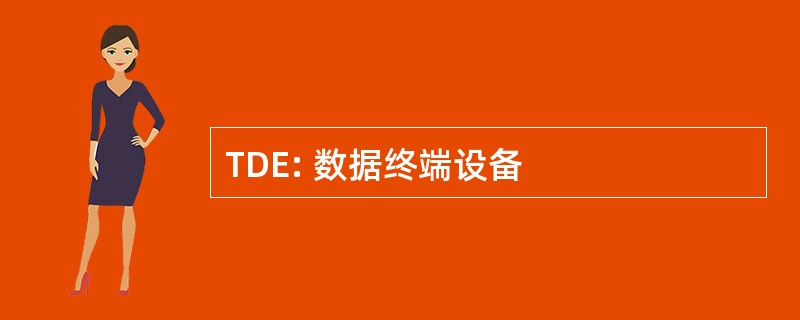 TDE: 数据终端设备