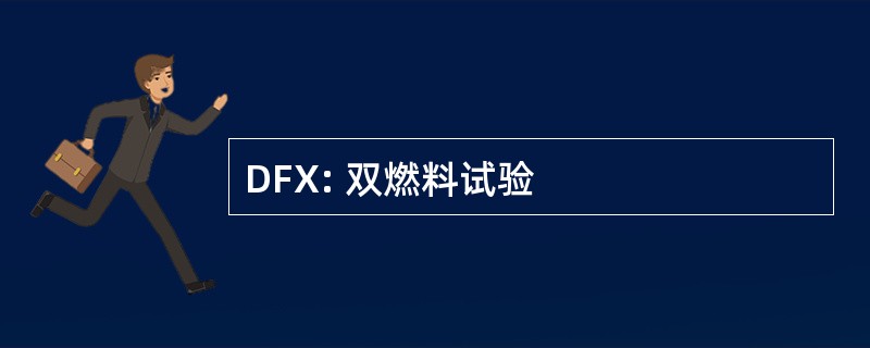 DFX: 双燃料试验