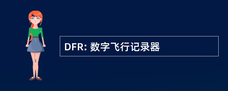 DFR: 数字飞行记录器