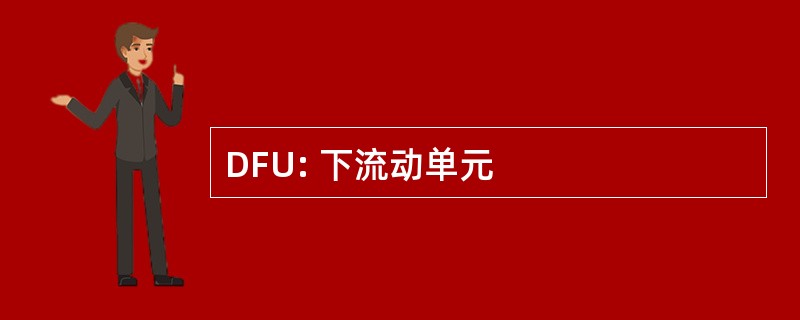 DFU: 下流动单元