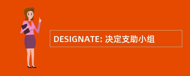 DESIGNATE: 决定支助小组