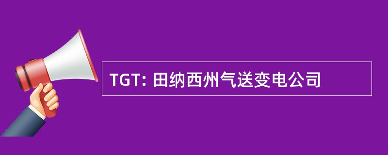 TGT: 田纳西州气送变电公司