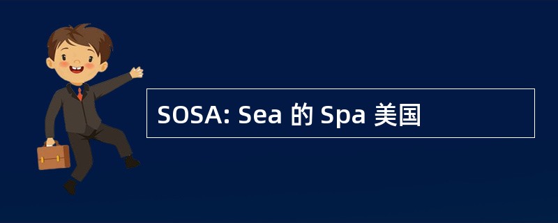 SOSA: Sea 的 Spa 美国