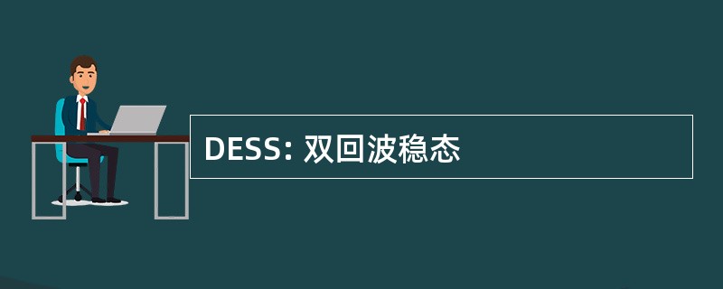 DESS: 双回波稳态