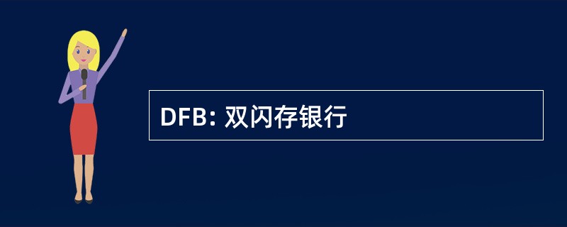 DFB: 双闪存银行