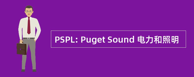 PSPL: Puget Sound 电力和照明