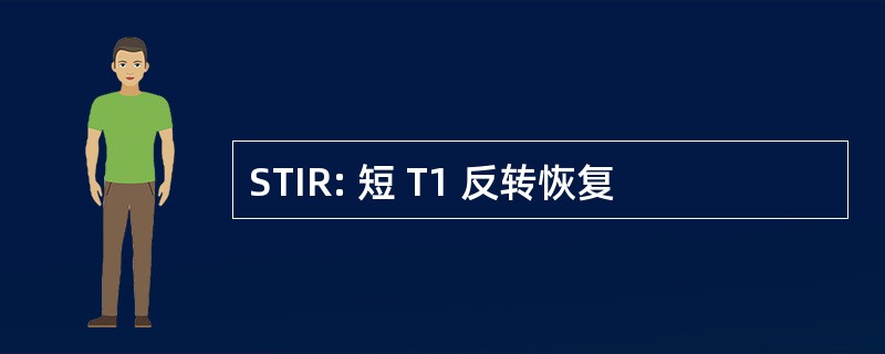 STIR: 短 T1 反转恢复