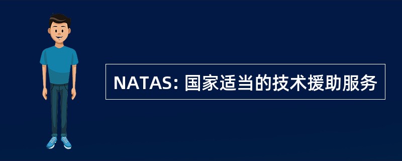 NATAS: 国家适当的技术援助服务