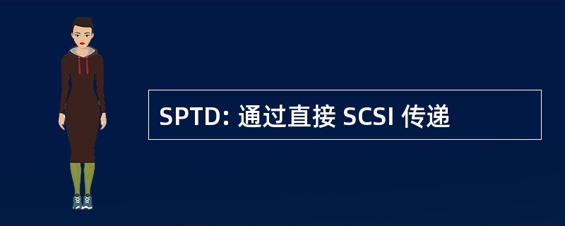 SPTD: 通过直接 SCSI 传递