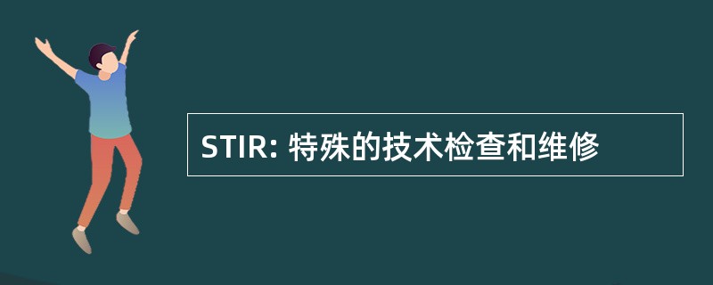 STIR: 特殊的技术检查和维修