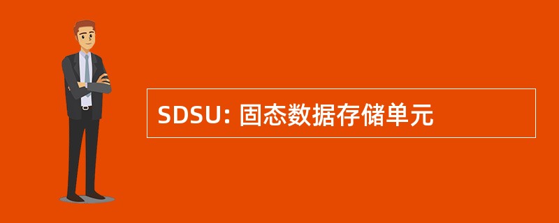 SDSU: 固态数据存储单元