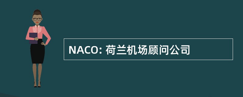 NACO: 荷兰机场顾问公司