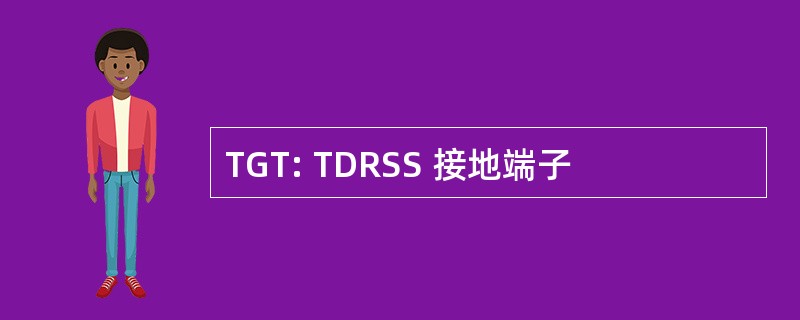 TGT: TDRSS 接地端子