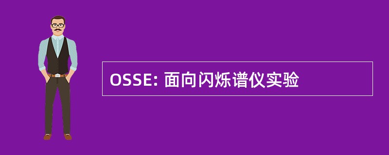 OSSE: 面向闪烁谱仪实验