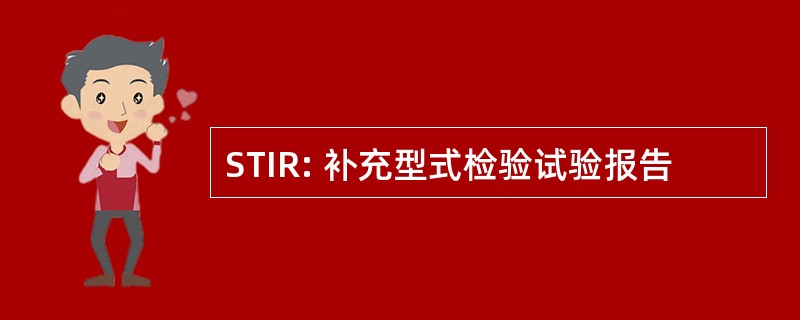 STIR: 补充型式检验试验报告