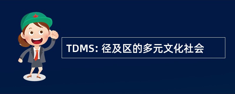 TDMS: 径及区的多元文化社会