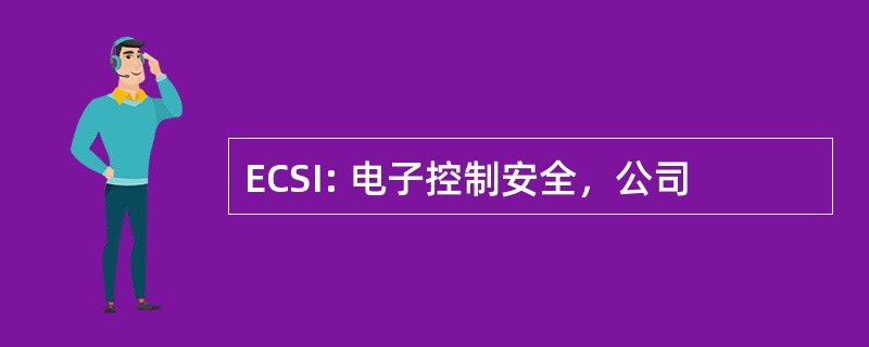 ECSI: 电子控制安全，公司