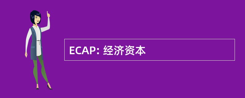 ECAP: 经济资本