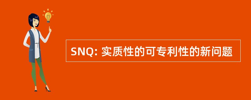 SNQ: 实质性的可专利性的新问题