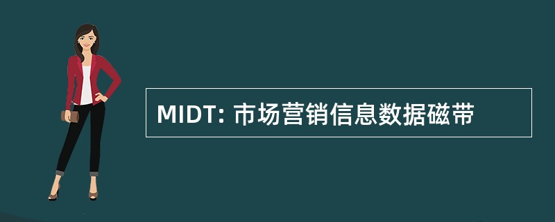 MIDT: 市场营销信息数据磁带