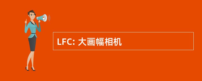 LFC: 大画幅相机