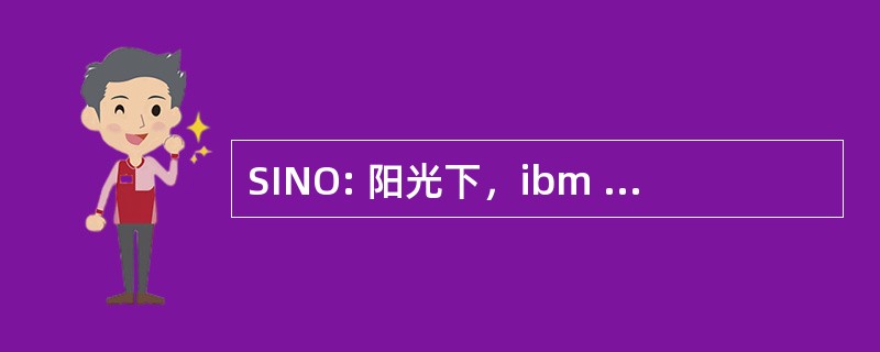 SINO: 阳光下，ibm 公司，网景公司，甲骨文 （商业联盟）