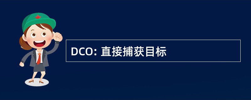 DCO: 直接捕获目标