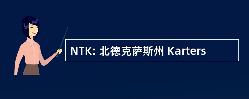 NTK: 北德克萨斯州 Karters