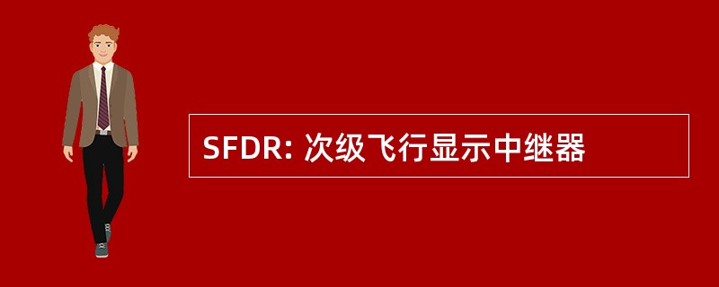 SFDR: 次级飞行显示中继器