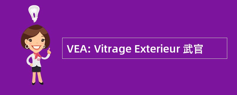 VEA: Vitrage Exterieur 武官