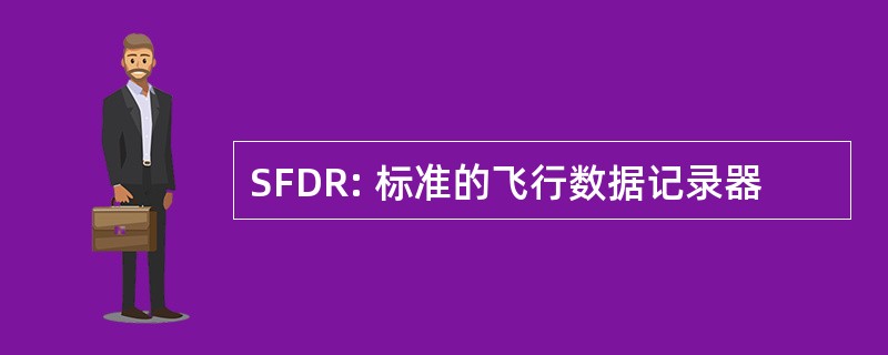 SFDR: 标准的飞行数据记录器