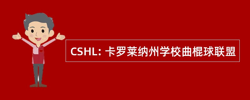 CSHL: 卡罗莱纳州学校曲棍球联盟