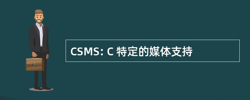 CSMS: C 特定的媒体支持