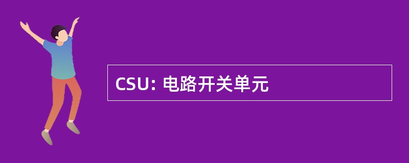 CSU: 电路开关单元