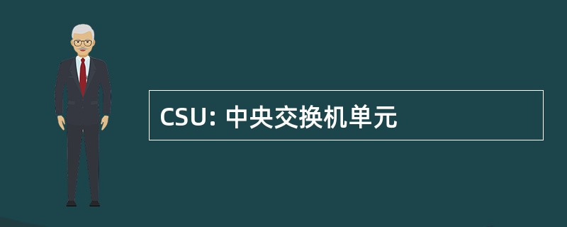 CSU: 中央交换机单元