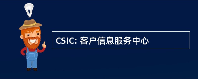 CSIC: 客户信息服务中心