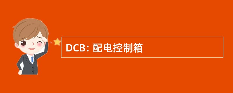 DCB: 配电控制箱