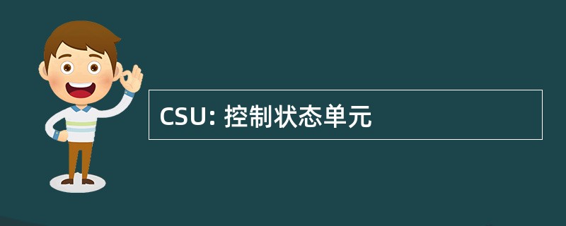 CSU: 控制状态单元